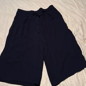 The limited brand Navy Blue wide leg dress pants (winter, thick pants)